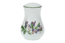 Royal Worcester - Worcester