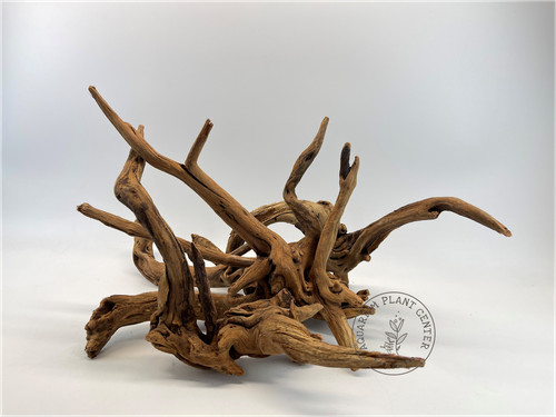 Bog wood aquarium - bog, /