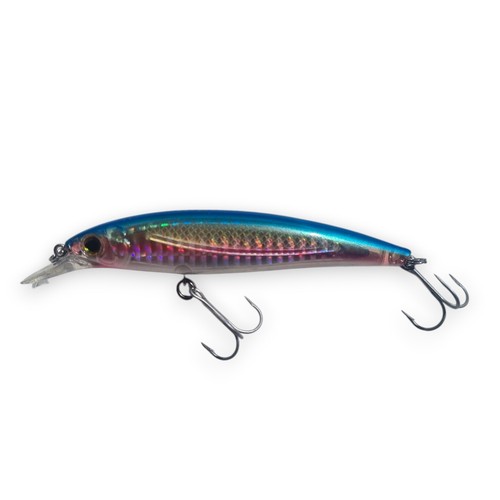 Rainbow runner baitfish - rainbow,
