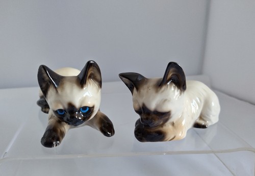 Vintage siamese kittens - 2, x