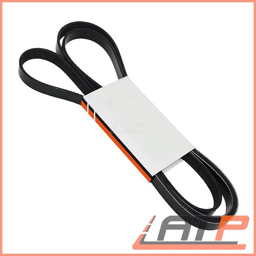 Ribbed belt for smart - for,