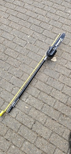 Ryobi expand long - long, reach