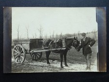 HORSE & CART / PONY & TRAP Muddy Wheels c1909 RP Postcard