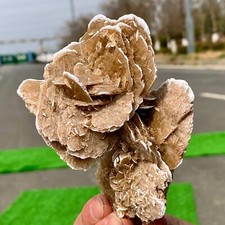 199G Natural Africa Selenite Desert Rose Crystal Cluster minerals healing