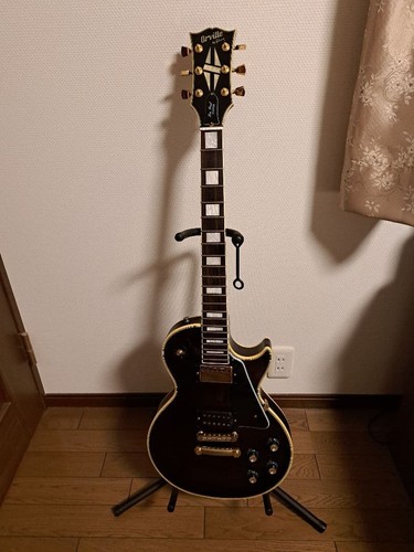 Orville gibson with case - orville,