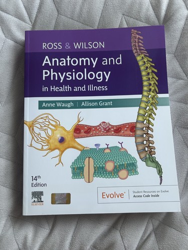 Anatomy and physiology - physiology, in