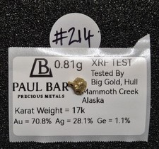 #214 - Natural Gold Nugget