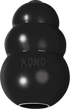 KONG Extreme Dog Toy - Fetch &