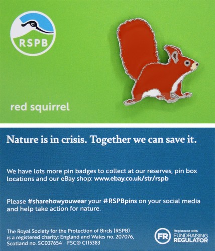 Rspb pin badge - rspb,