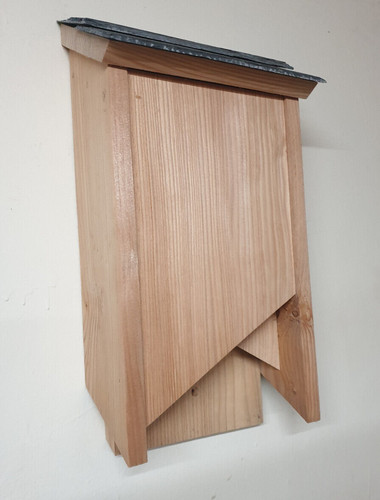 Bat box - bat,