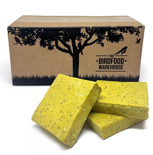 Mealworm insect suet blocks - mealworm,