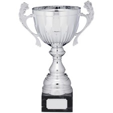Silver Presentation Cup With
