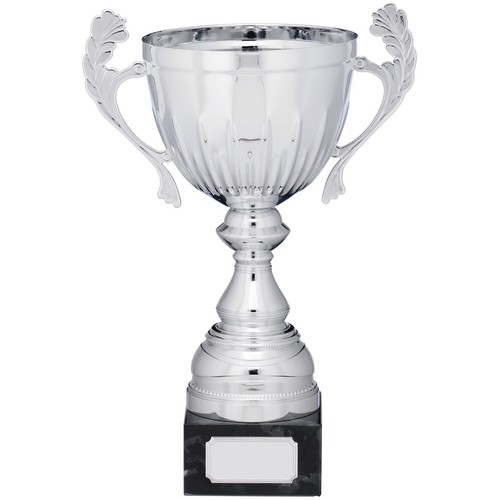 Silver presentation cup with - silver,