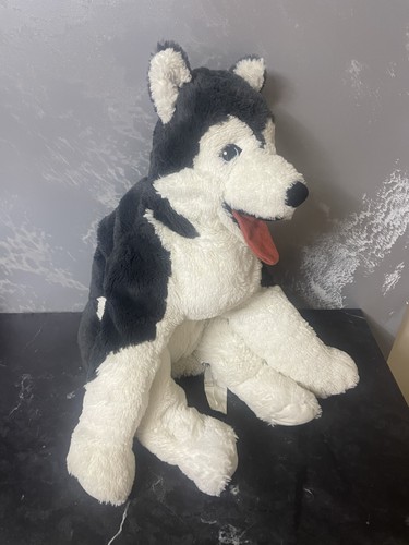 Ikea livlig siberian - husky, dog