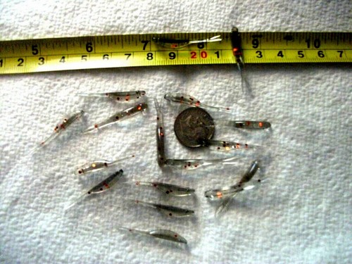 100 4 - 100-1, 1/4"
