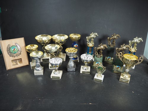 Trophy job lot - lot, 17