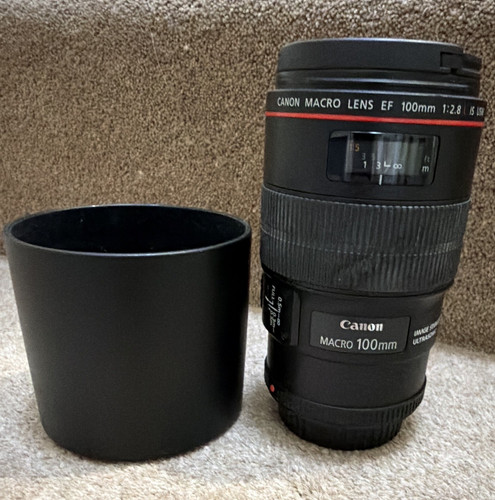 Canon 100mm 8l - 100mm, usm