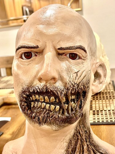 The mummy bust - bust, imhotep