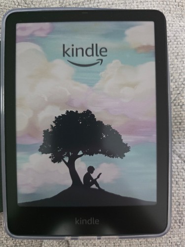 Excellent condition kindle - excellent,