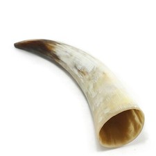 Genuine Ox Horn Viking Drinking Horn | 250ml - 350ml | Perfect for Reenactment