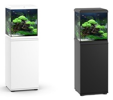 Juwel 54 L Vio Cube Aquarium