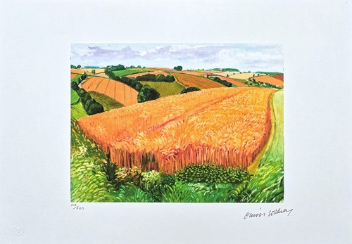David hockney bigger - -, field