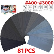81Pcs Assorted Sanding Wet and