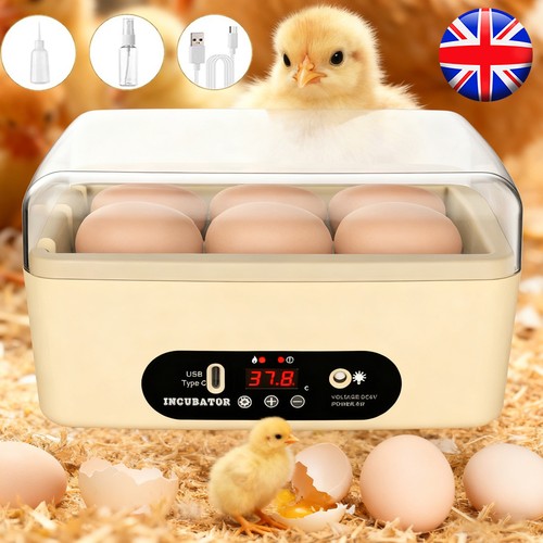 Mini egg incubator automatic - egg,