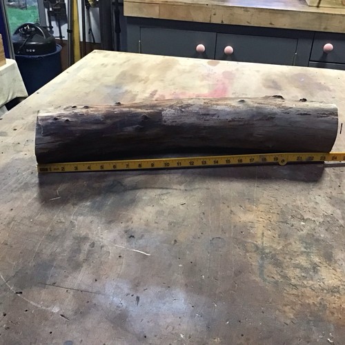 Yew live edge log - edge, wood