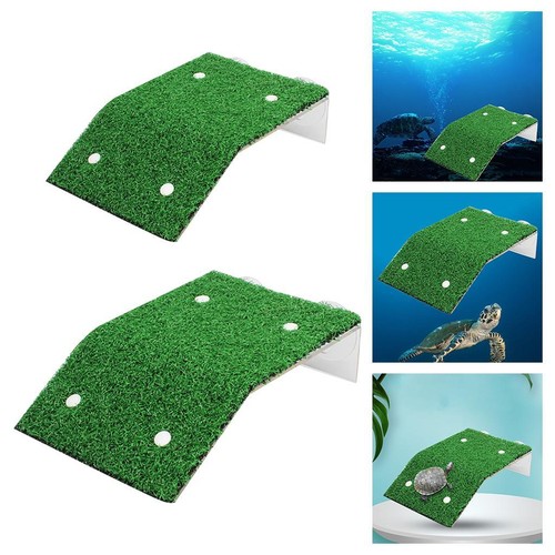 Turtle aquarium tank - aquarium,