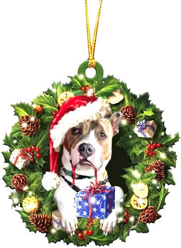Wide american pit bull - wide,