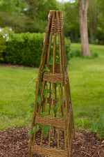 Willow Obelisk Plant Support
