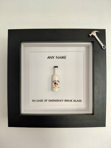 Fun novelty case - fun,