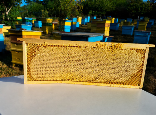 Pure raw organic honey - raw,