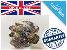 Bag of Decorative Glass