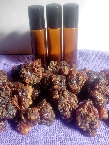 Commiphora hagar sweet myrrh - sweet,