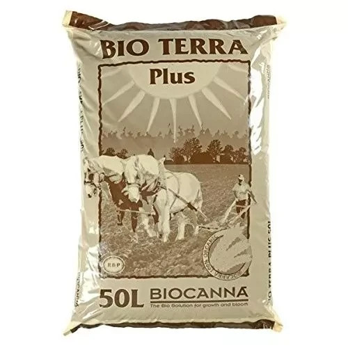 Canna bio terra - canna,