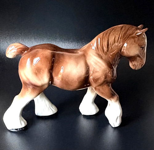 Stallion shire horse chestnut - stallion,