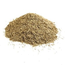 LAWN GRASS SEED 2KG FINE RYE
