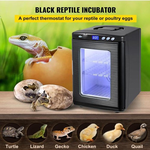 Reptile egg incubator 25l - reptile,