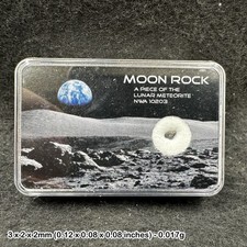 Genuine lunar meteorite -