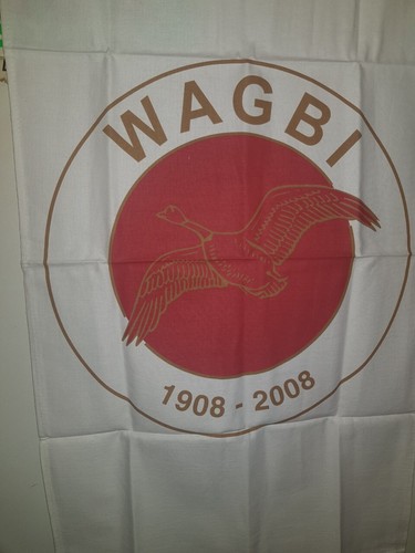 Wagbi celebrating 100 - wagbi, years