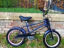 Raleigh Strika Retro Bicycle