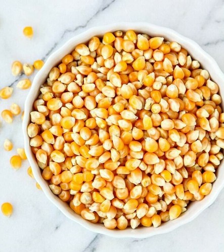 Popping corn for pan - corn,