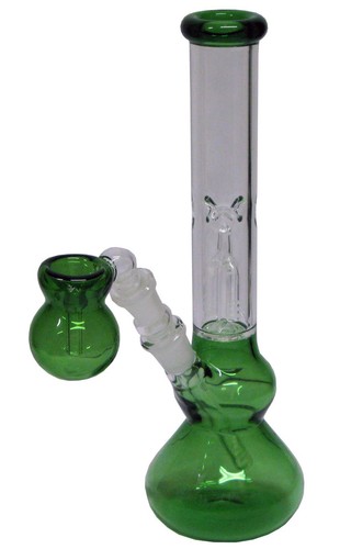 Basil bush glass - basil,