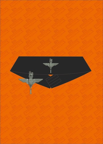 1st battalion parachute - battalion,