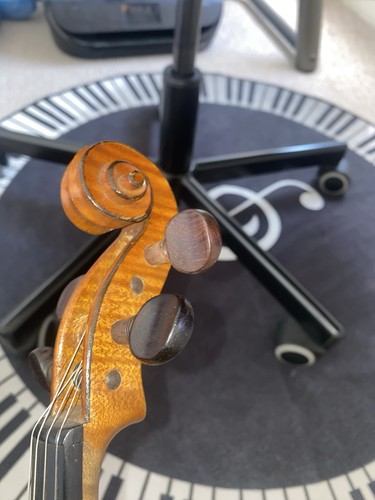 Violin french read - french, (