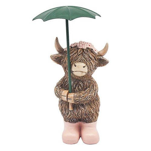 Highland cow rainy - highland, girl