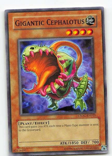 Gigantic cephalotus csoc - gigantic,