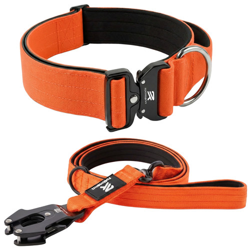 Dog collar lead set - collar,